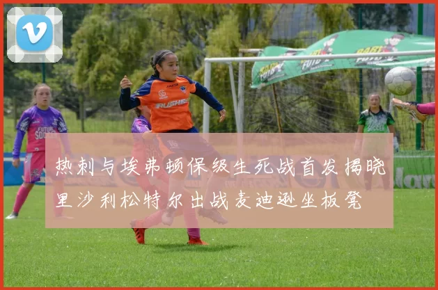 热刺与埃弗顿保级生死战首发揭晓里沙利松特尔出战麦迪逊坐板凳